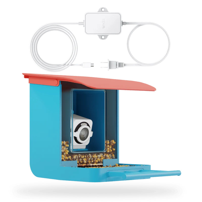 Bird Feeder Plug-in Cam v4 Bundle