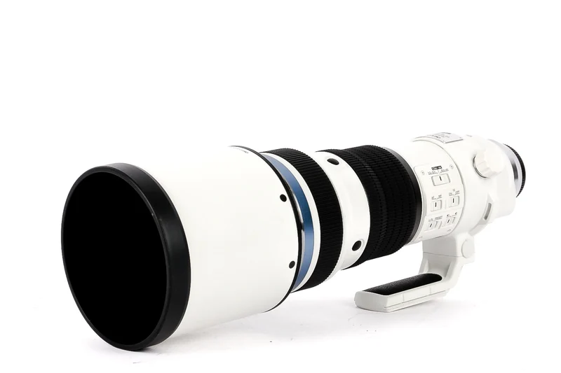Olympus M.Zuiko 150-400mm f/4.5 TC1.25X IS PRO
